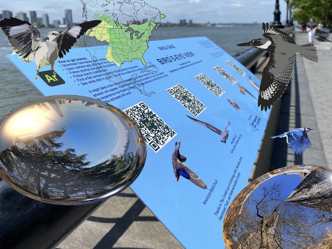 Installation Tour: Bird’s-Eye View AR with Shuli Sadé
